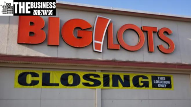 big lots store closings