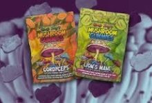 Why Should You Buy Mushroom Gummies From Authentic Sellers