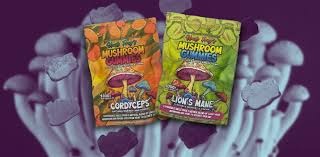 Why Should You Buy Mushroom Gummies From Authentic Sellers