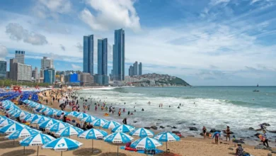 Experience Relaxation with Busan op Services